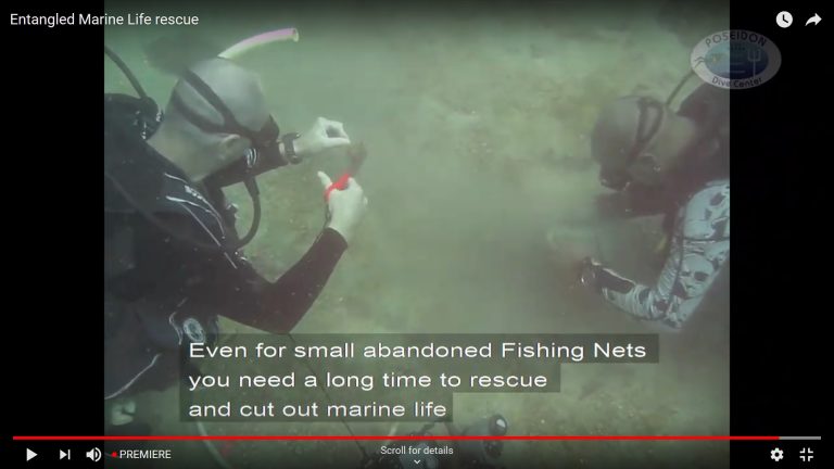 Dan Ryan underwater cleanup