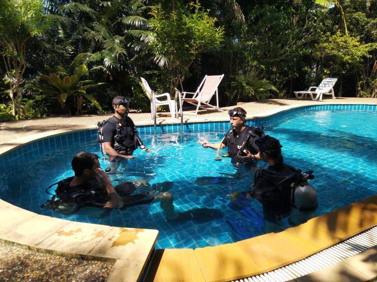 Dive Course Pool
