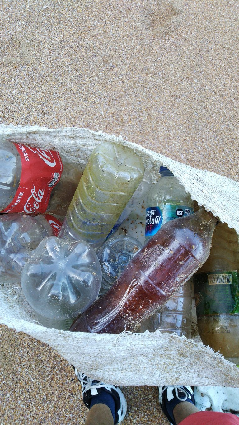 World Oceans Day Beach Cleanup Welttag der Ozeane 2021